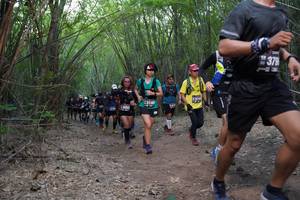 BIB: 379, 314
                            <button type="button" onclick="openModal(4348309)" class="btn btn-primary btn-sm float-right btn-popup" data-toggle="modal" data-target=".modal-high-quality">
                        <i class="fas fa-shopping-cart"></i> Add to Cart
                    </button>
                                            <button type="button" onclick="isThisMe(4348309, true)" class="btn btn-success btn-sm float-right btn-popup btn-isme hidden" data-toggle="tooltip" data-placement="bottom" title="นี่คือรูปของคุณใช่ไหม คลิกที่นี่เพื่อเอาเข้าอัลบั้ม">
                        <i class="fas fa-plus"></i> Add to album
                    </button>
                    <button type="button" onclick="isThisMe(4348309, false)" class="btn btn-warning btn-sm float-right btn-popup btn-isnotme hidden">
                        <i class="fas fa-ban"></i> Remove from album
                    </button>